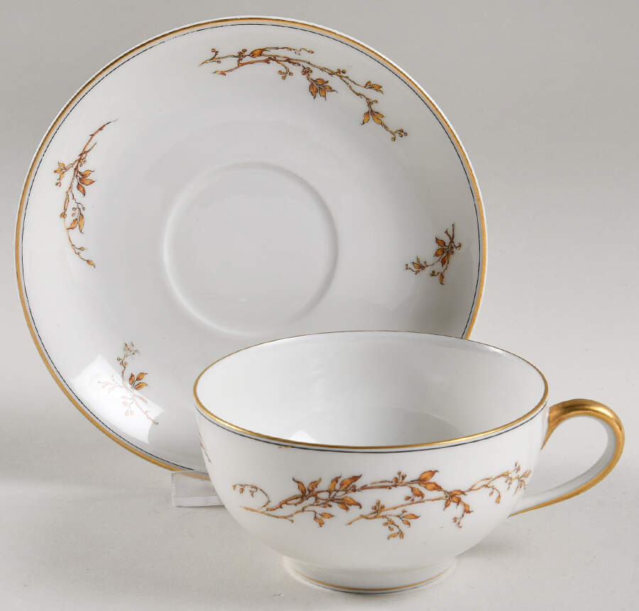 H327 Flat Cup & Saucer Set by Haviland-1