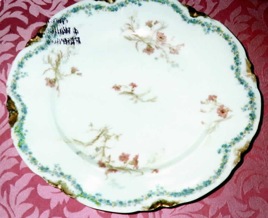 Schleiger 70-6 Dinner Plate by Haviland-1