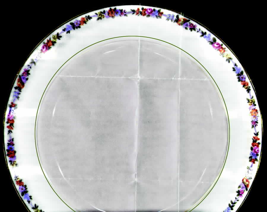 H335 Dinner Plate by Haviland-1