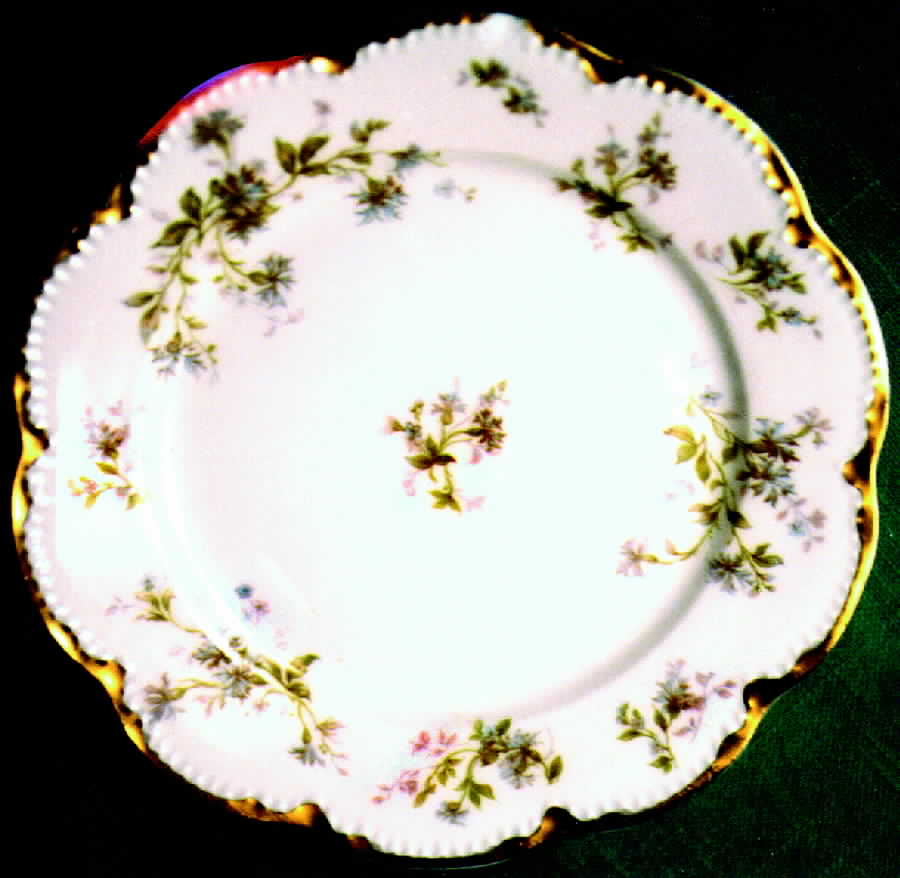H337 Dinner Plate by Haviland-1