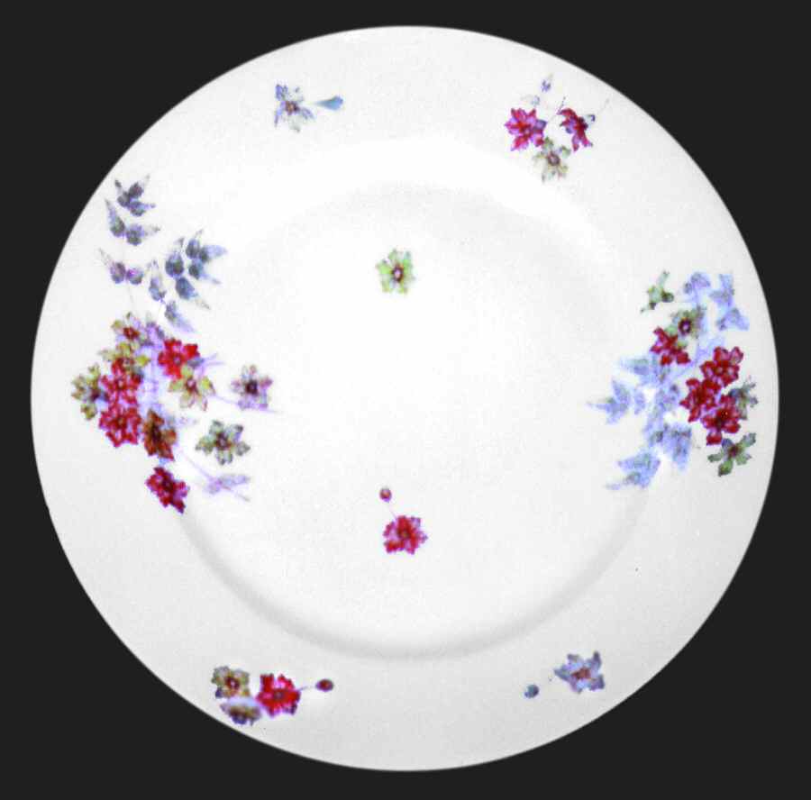 H340 Dinner Plate by Haviland-1