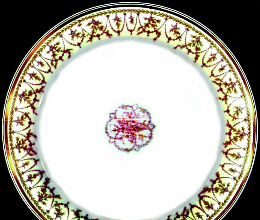 H342 Dinner Plate by Haviland-1
