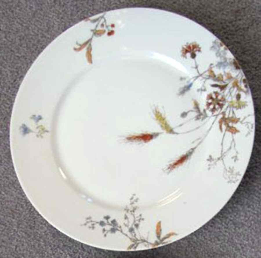 H348 Dinner Plate by Haviland-1