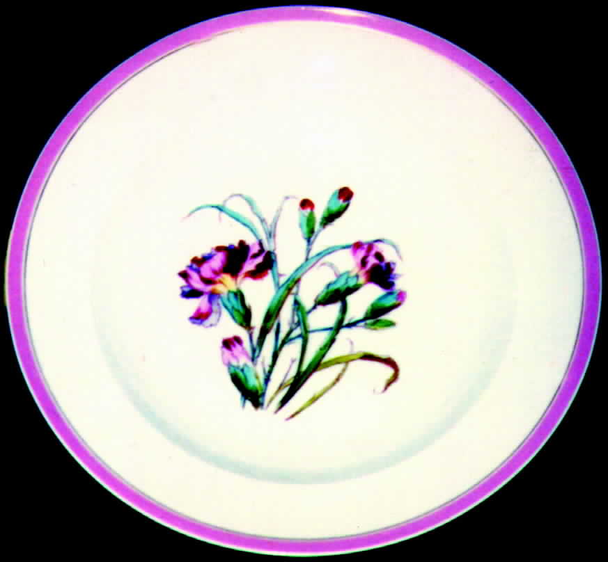 H349 Dinner Plate by Haviland-1