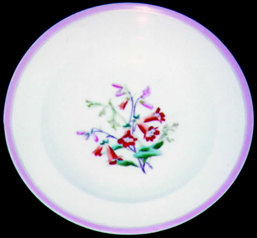 H349 Dinner Plate by Haviland-1
