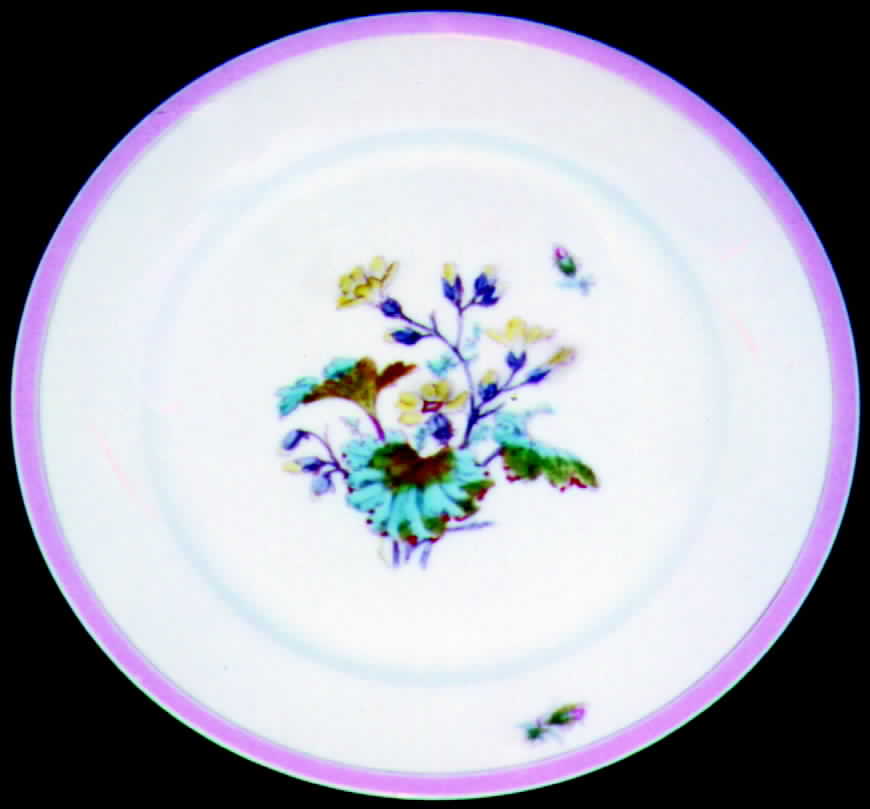 H349 Dinner Plate by Haviland-1