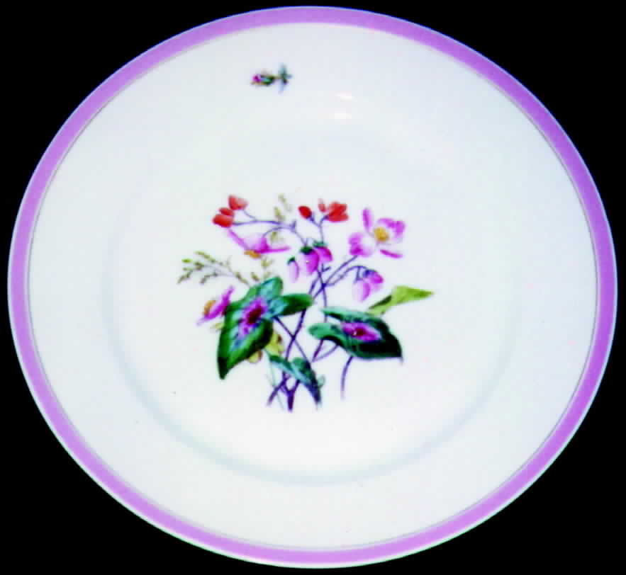 H349 Dinner Plate by Haviland-1