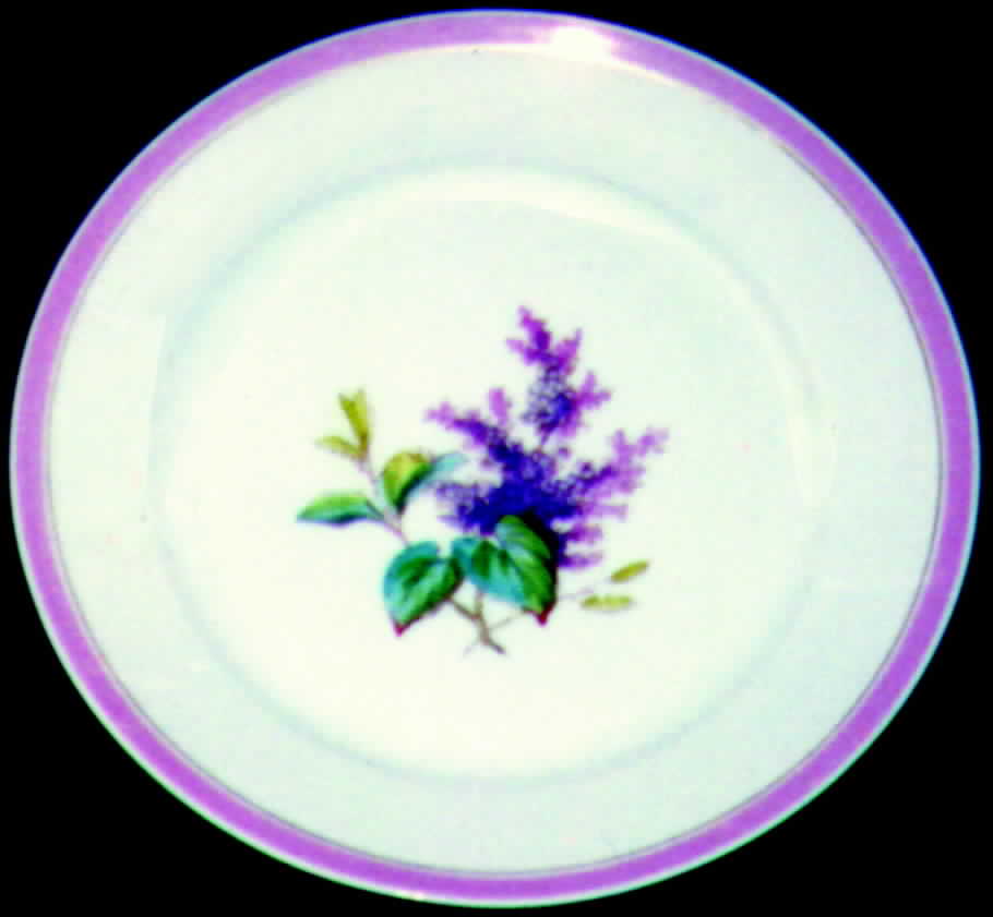H349 Dinner Plate by Haviland-1
