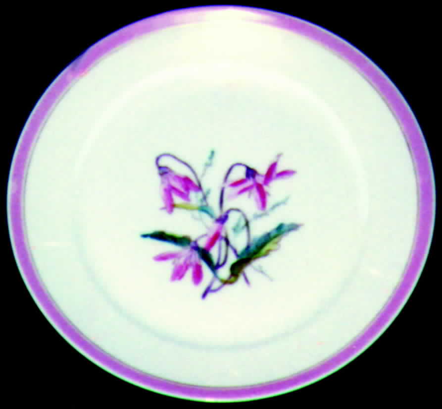 H349 Dinner Plate by Haviland-1