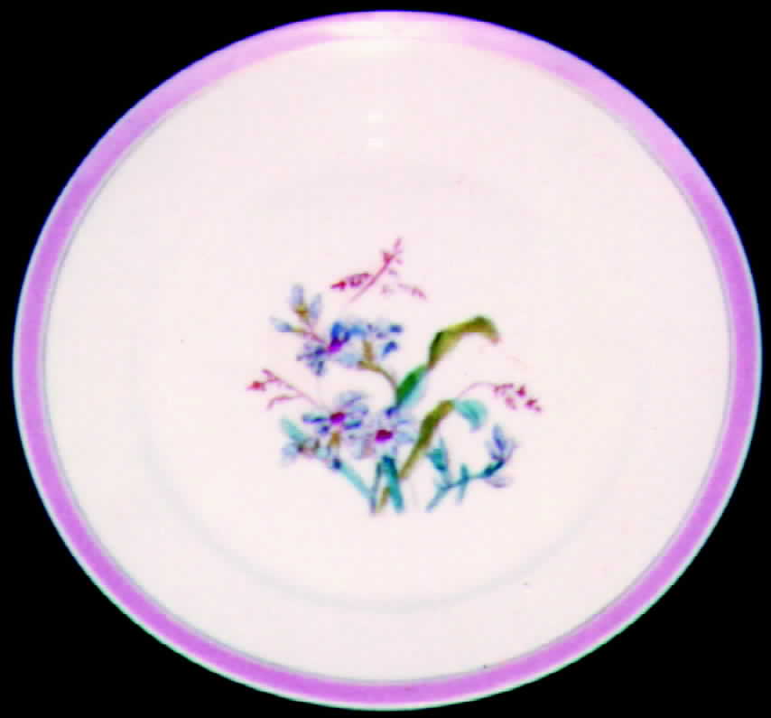 H349 Dinner Plate by Haviland-1