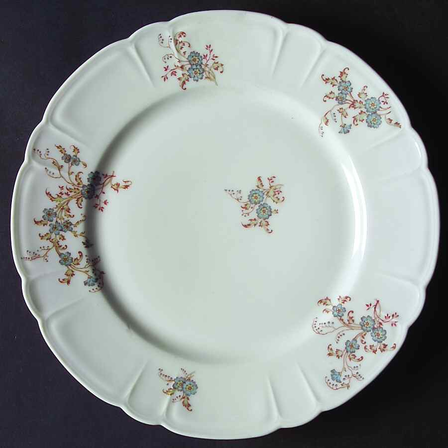 H359 Dinner Plate by Haviland-1