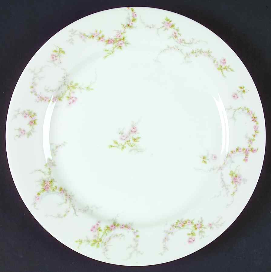 H365 Dinner Plate by Haviland-1