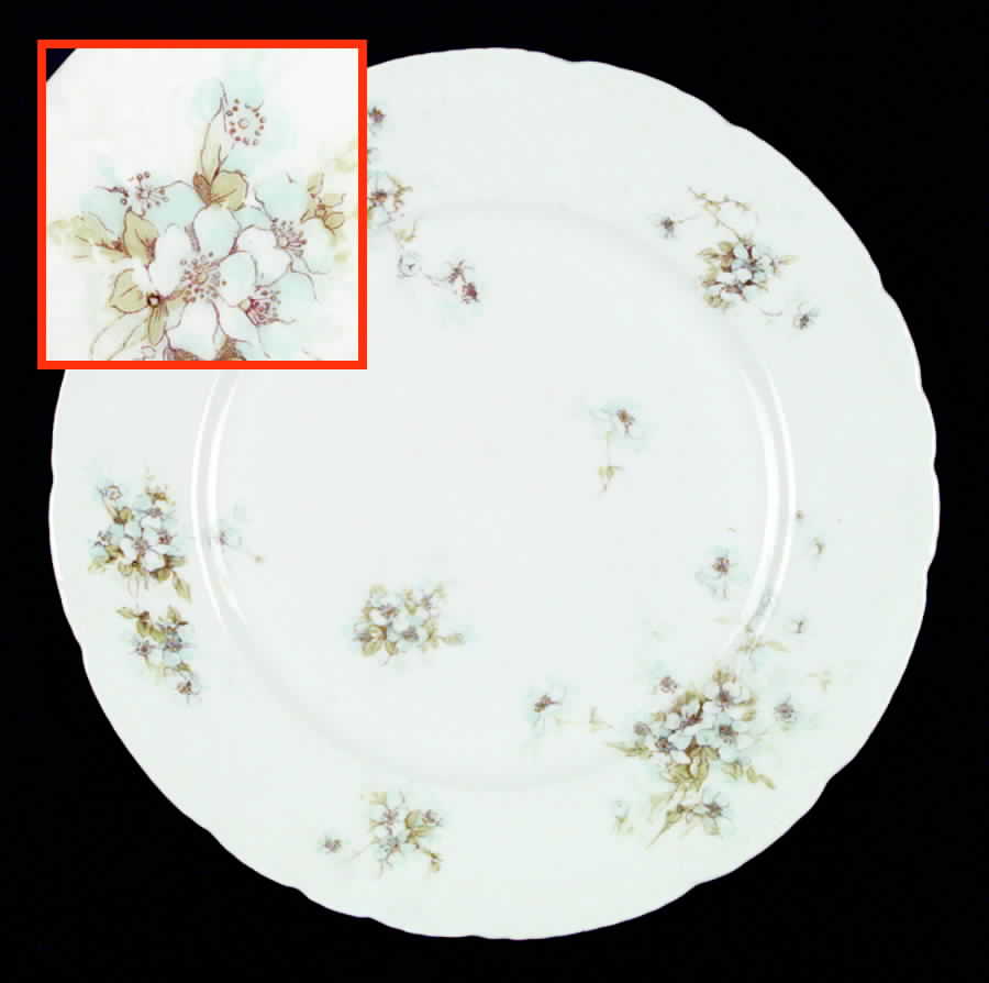Schleiger 162-7 Dinner Plate by Haviland-1