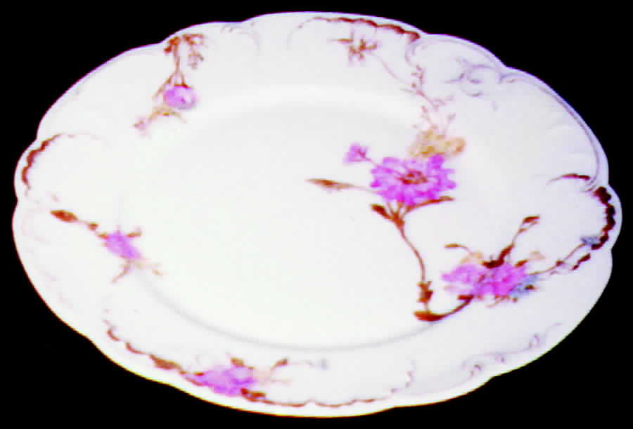 H387 Dinner Plate by Haviland-1