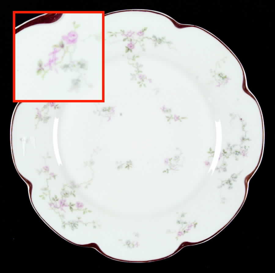 H394 Dinner Plate by Haviland-1