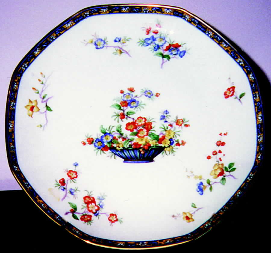 H395 Dinner Plate by Haviland-1