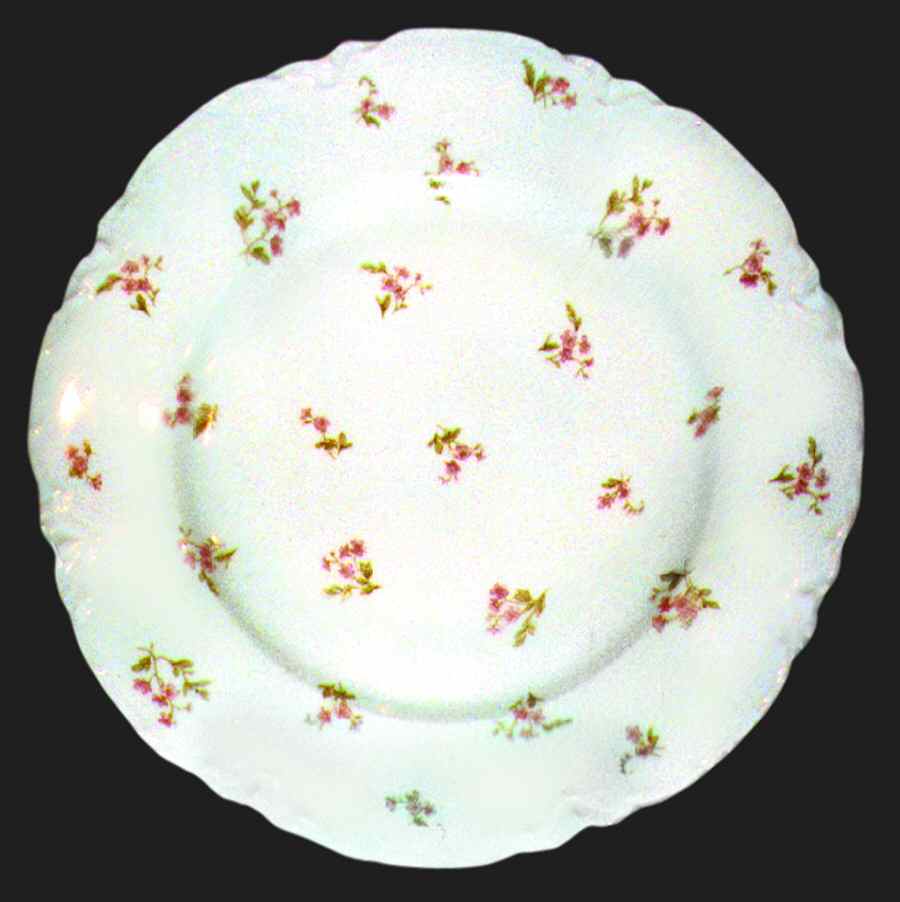 H404 Dinner Plate by Haviland-1