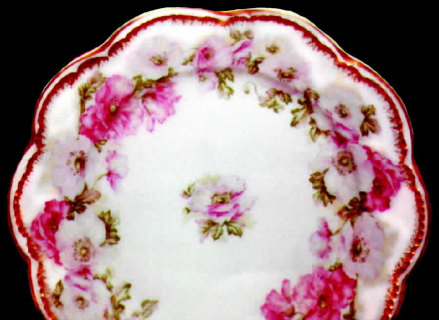 H407 Bread & Butter Plate by Haviland-1