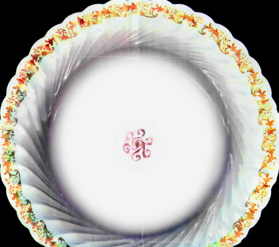 H413 Dinner Plate by Haviland-1