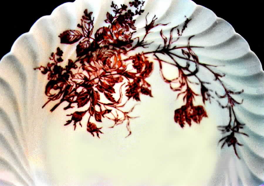 Schleiger 77-20 Dinner Plate by Haviland-1