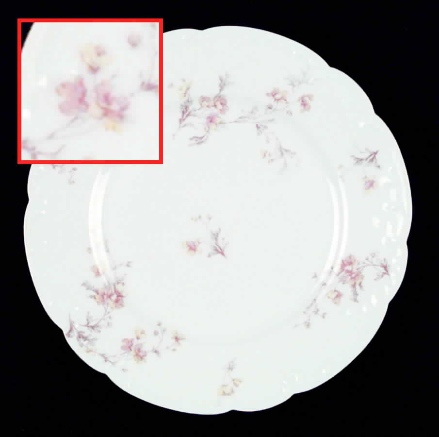 Schleiger 670-1 Salad Plate by Haviland-1
