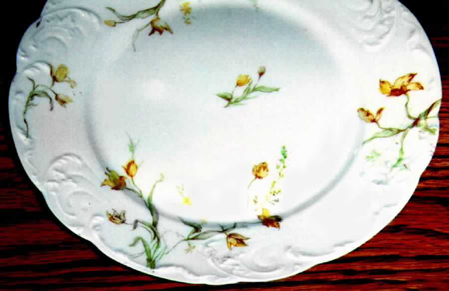 H418 Dinner Plate by Haviland-1