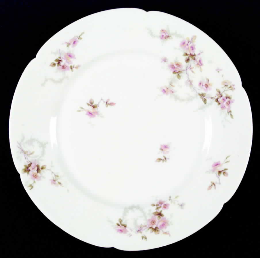 Schleiger 141-4 Dinner Plate by Haviland-1