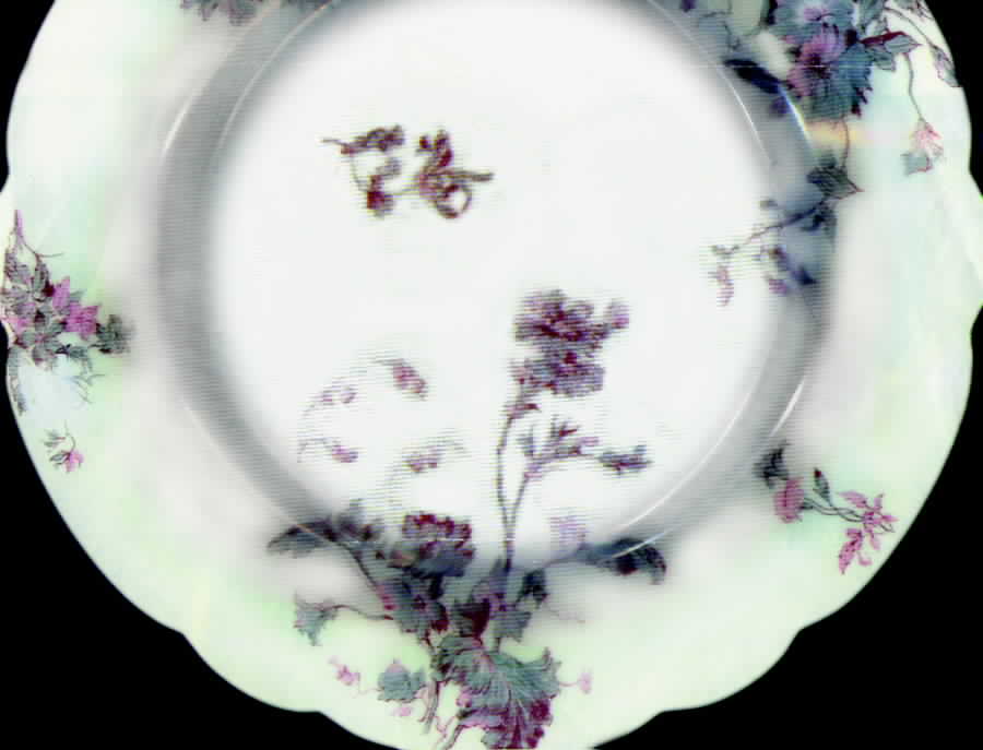 Schleiger 1152-17 Dinner Plate by Haviland-1