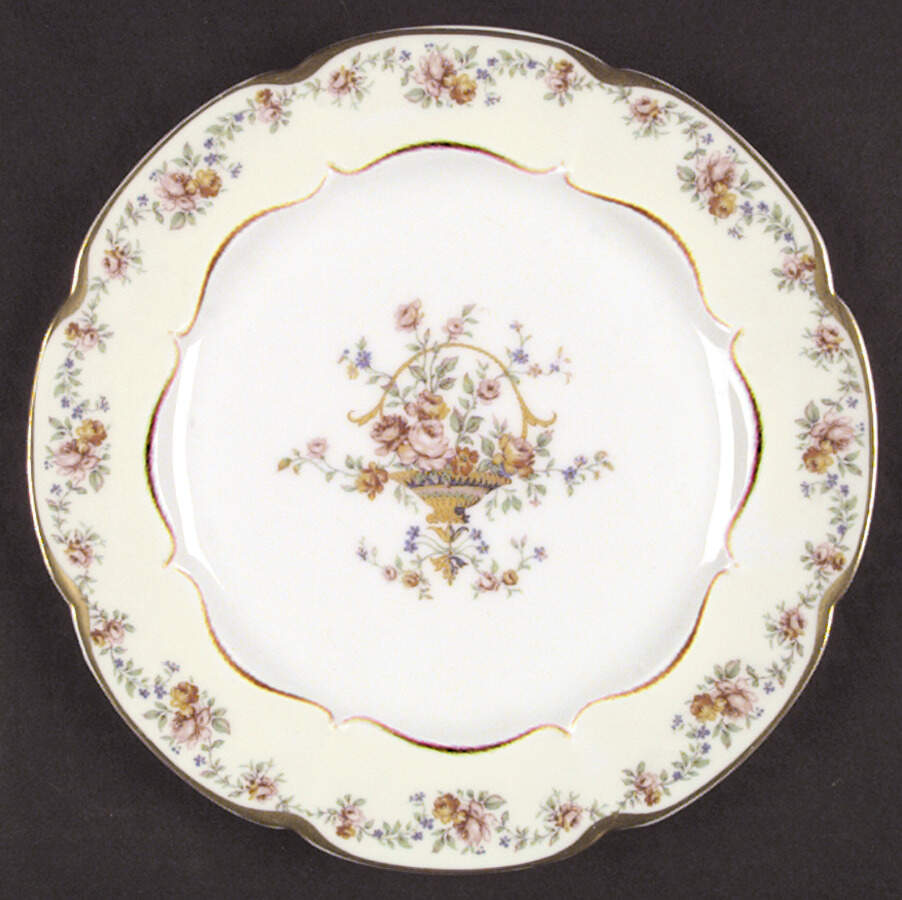 H425 Dinner Plate by Haviland-1