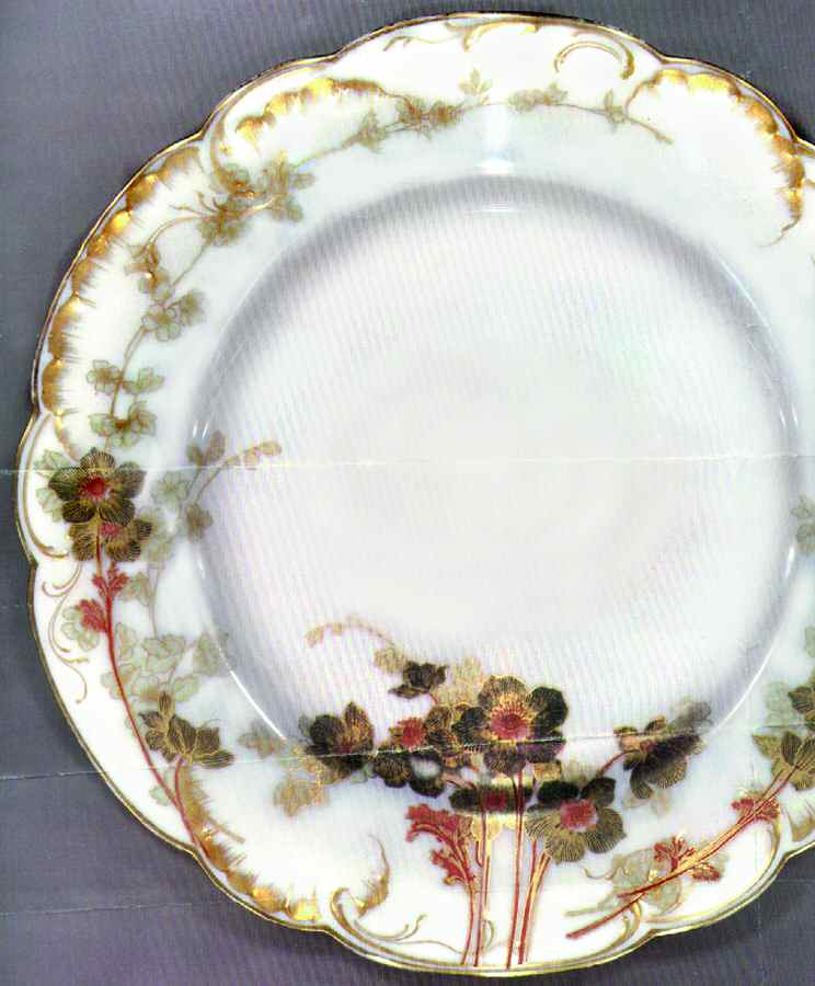 H436 Dinner Plate by Haviland-1
