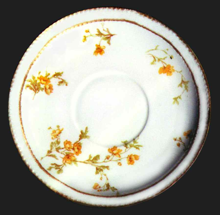 Schleiger 670-5 Saucer by Haviland-1