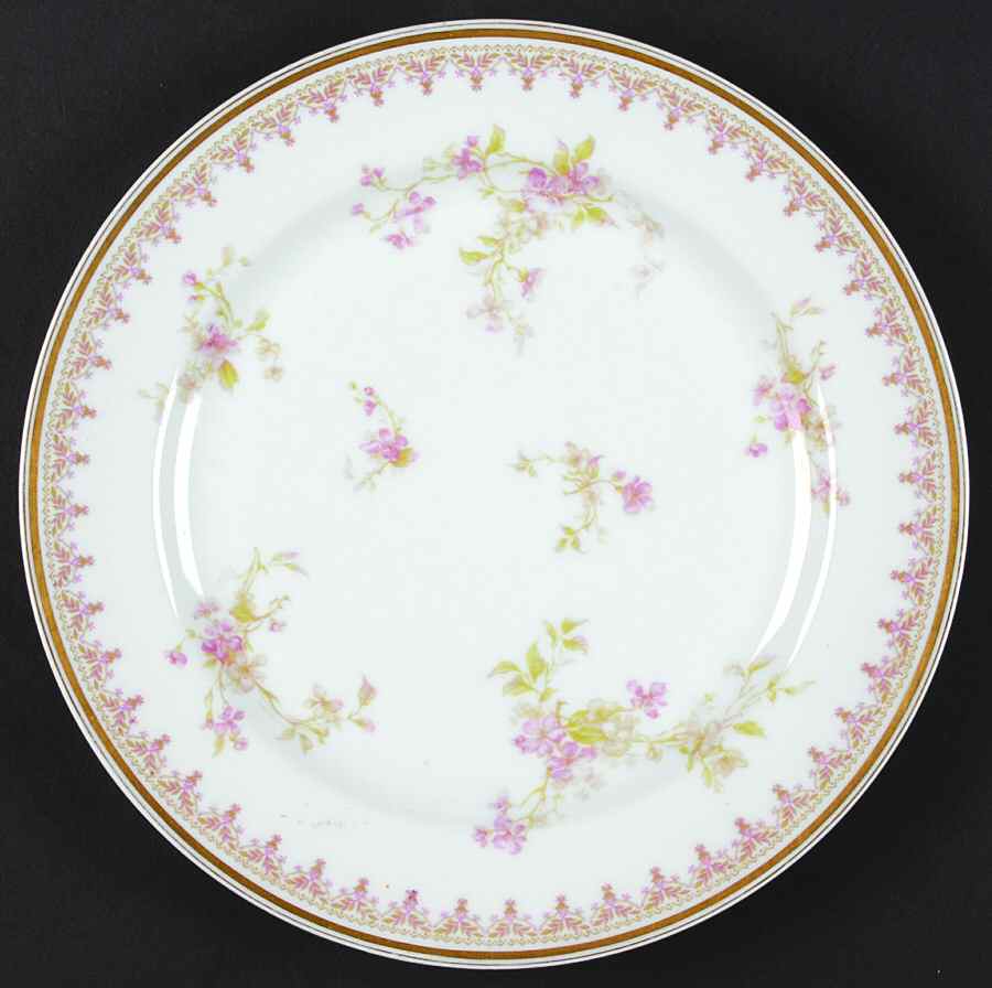 H440 Dinner Plate by Haviland-1