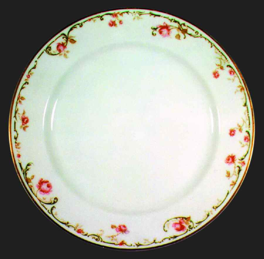 H441 Dinner Plate by Haviland-1