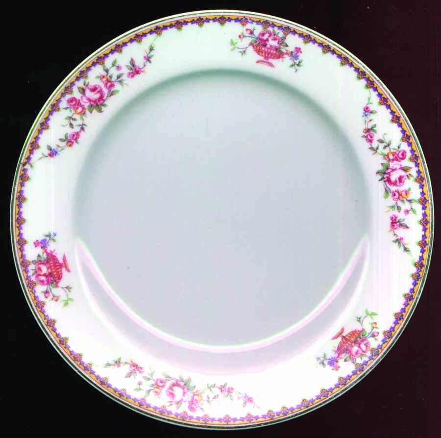 H443 Salad Plate by Haviland-1