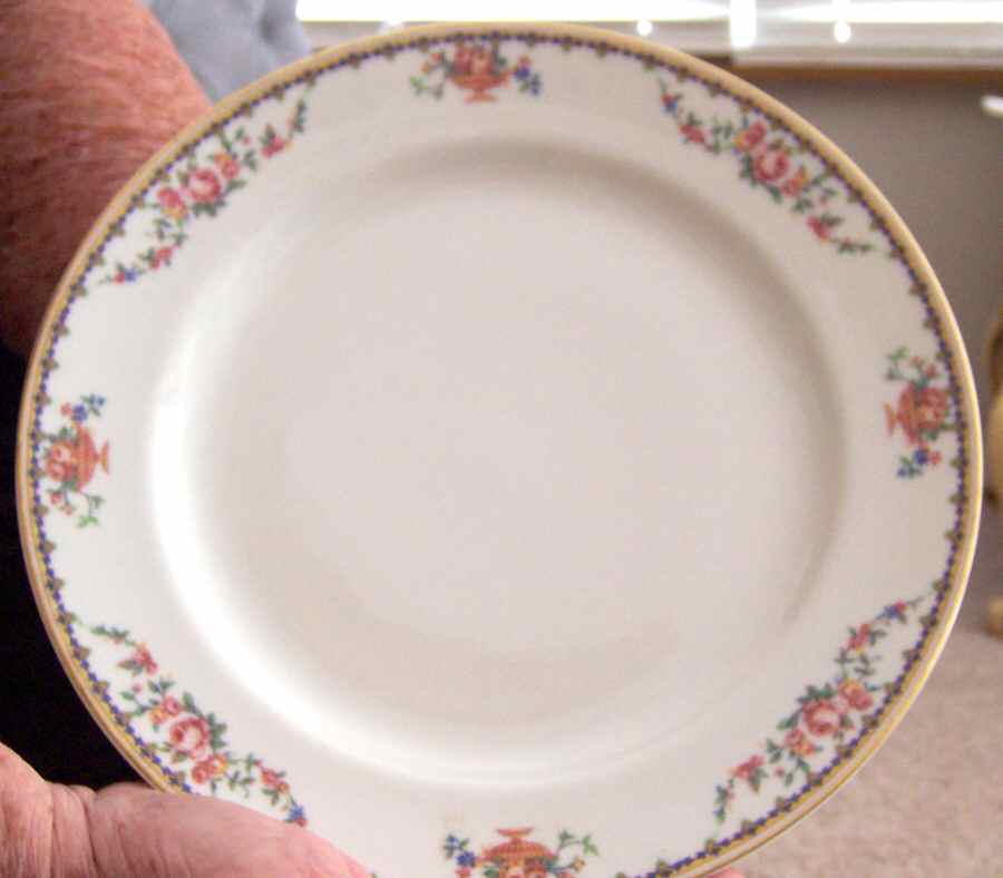 H443 Dinner Plate by Haviland-1