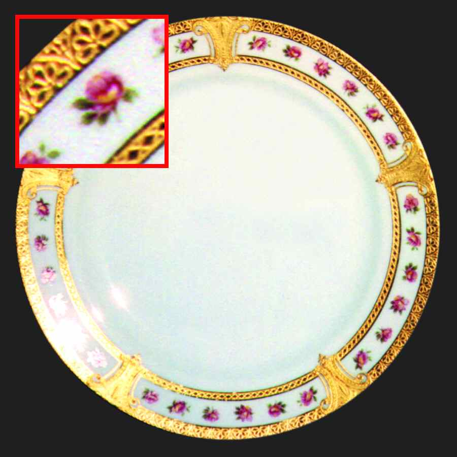 H445 Dinner Plate by Haviland-1