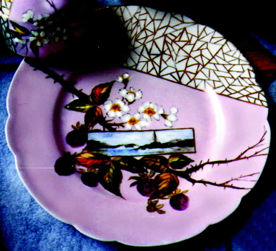 H446 Dinner Plate by Haviland-1
