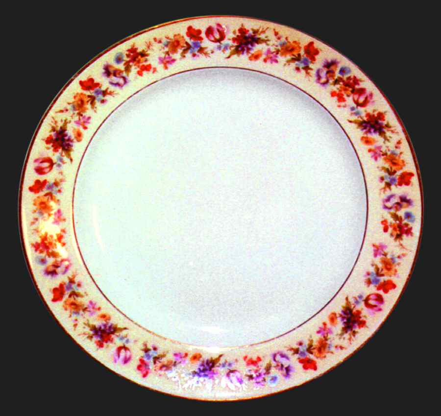 H450 Dinner Plate by Haviland-1