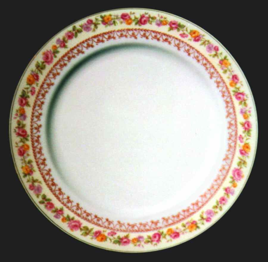 H453 Dinner Plate by Haviland-1