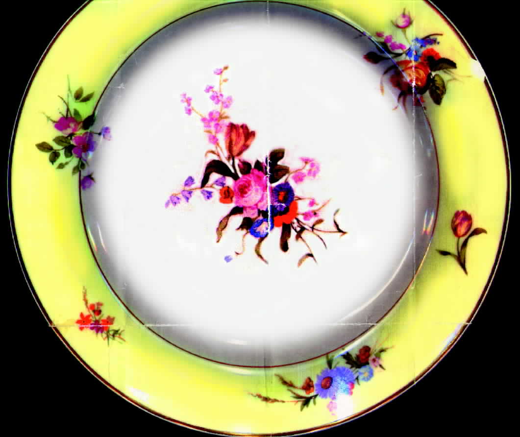 H455 Dinner Plate by Haviland-1