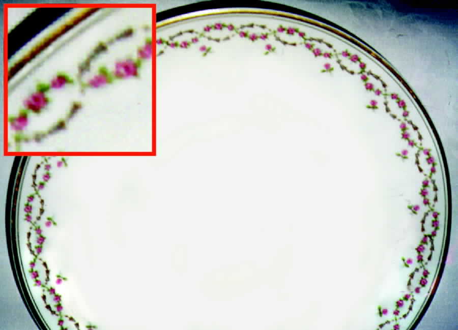 H458 Dinner Plate by Haviland-1