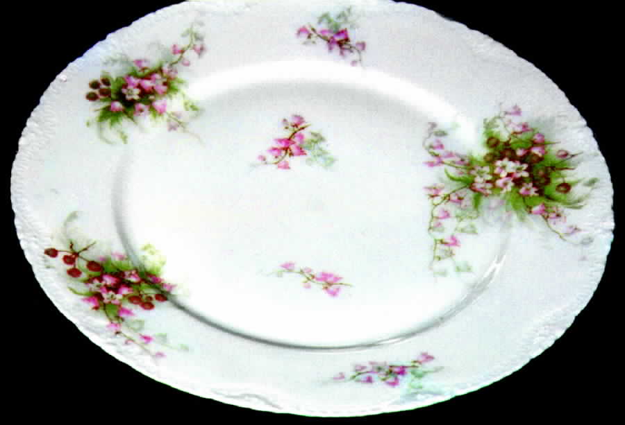 Schleiger 315-1 Dinner Plate by Haviland-1