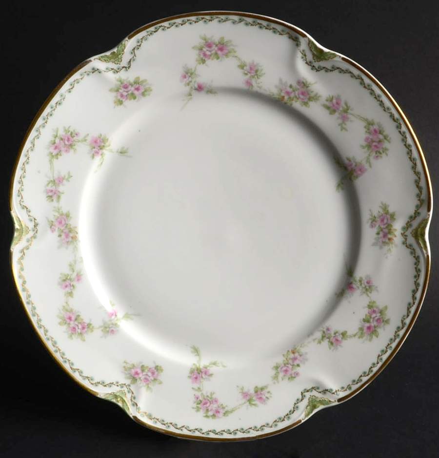 H461 Dinner Plate by Haviland-1