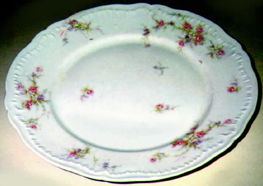 H462 Dinner Plate by Haviland-1