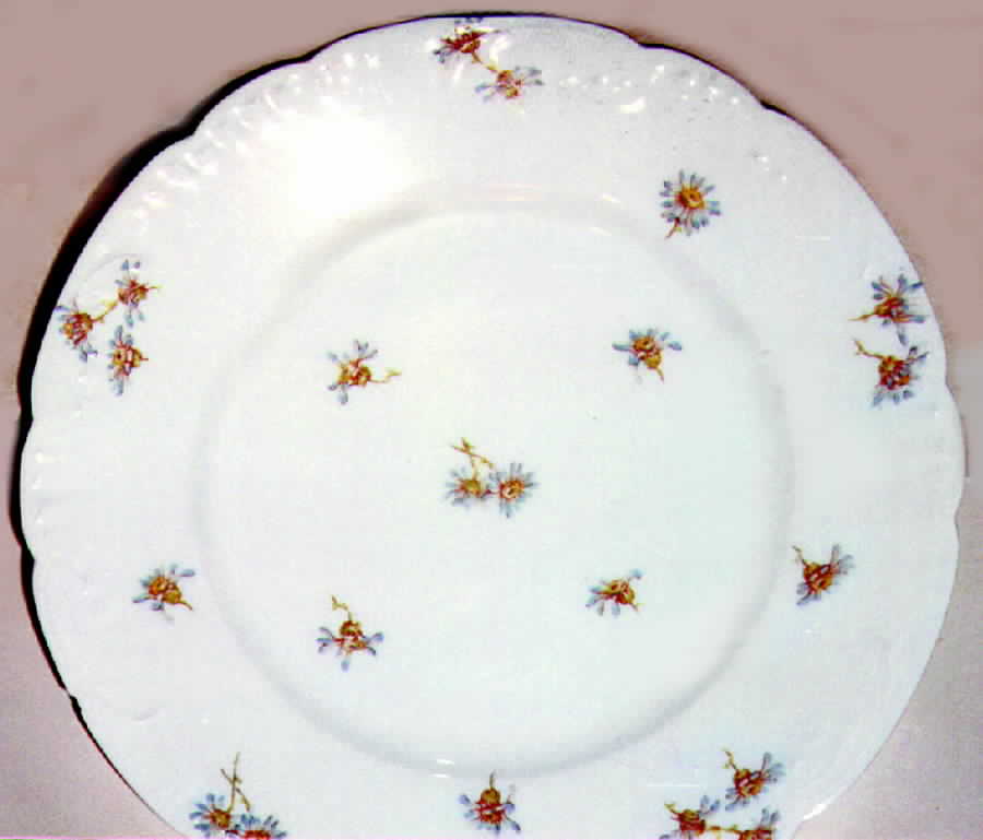 Schleiger 316-2 Dinner Plate by Haviland-1