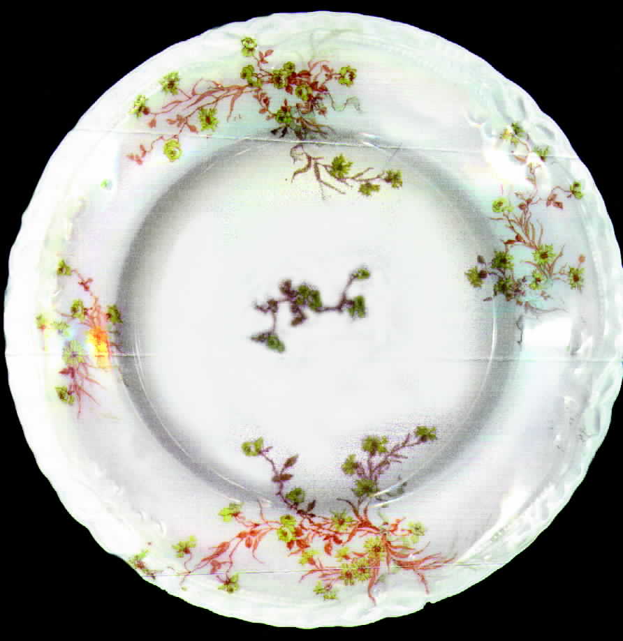 Schleiger 1025-4 Luncheon Plate by Haviland-1