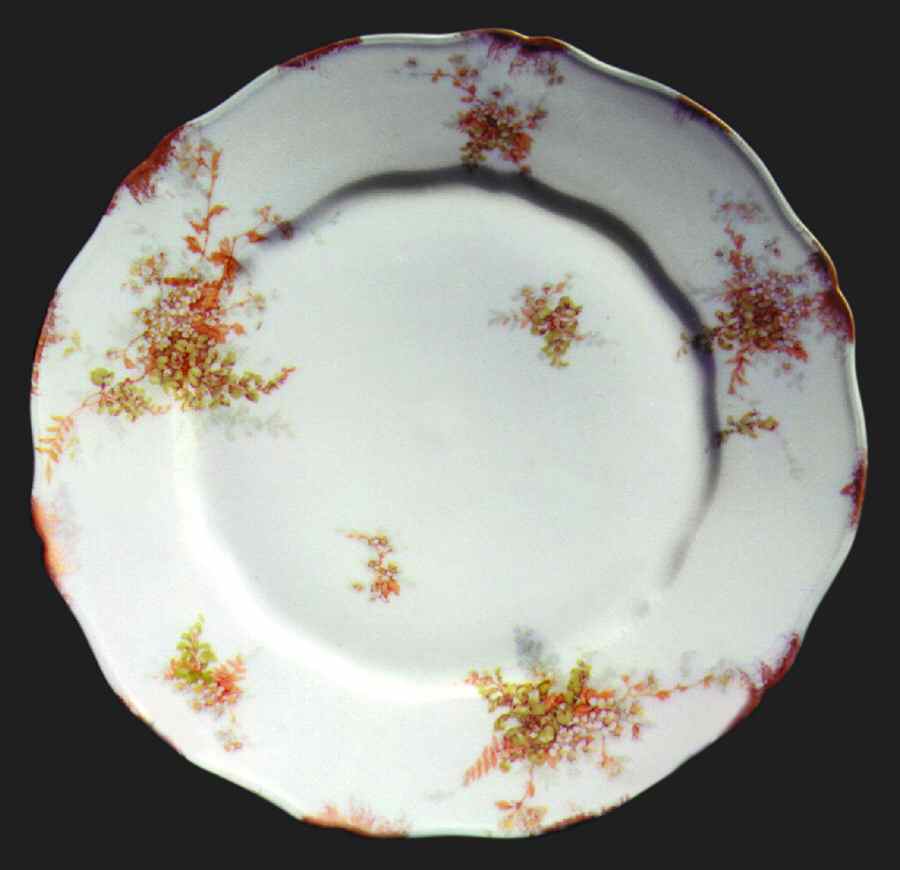 H468 Dinner Plate by Haviland-1