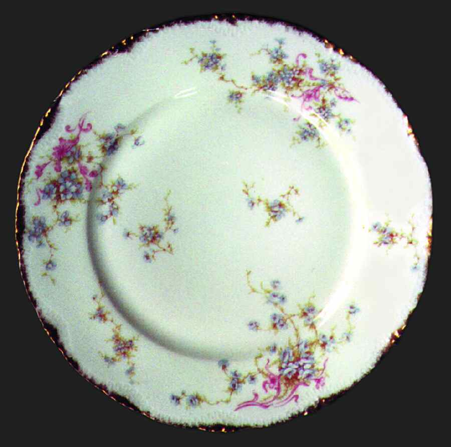 Schleiger 155-12 Dinner Plate by Haviland-1