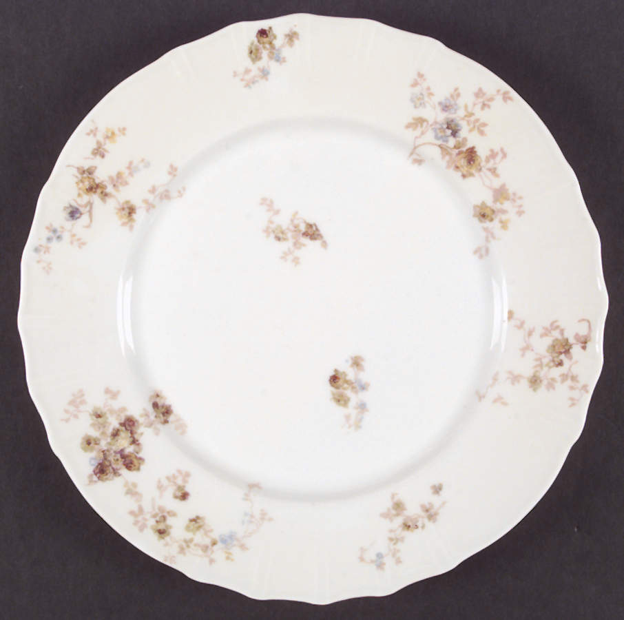H47 Dinner Plate by Haviland-1