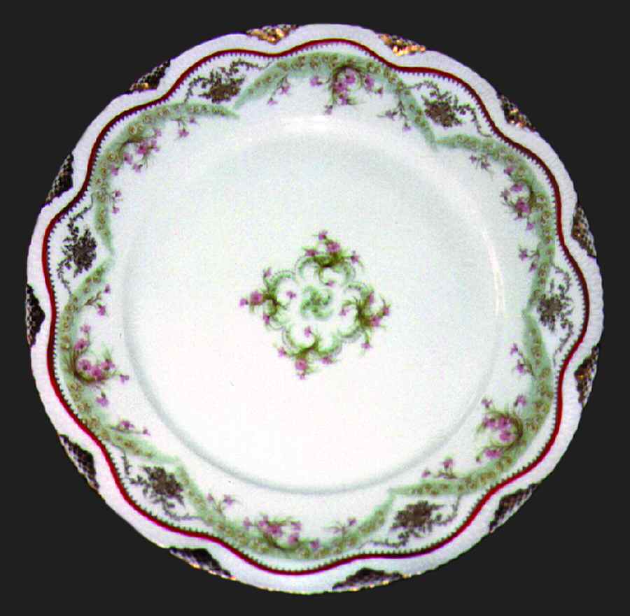 H473 Dinner Plate by Haviland-1